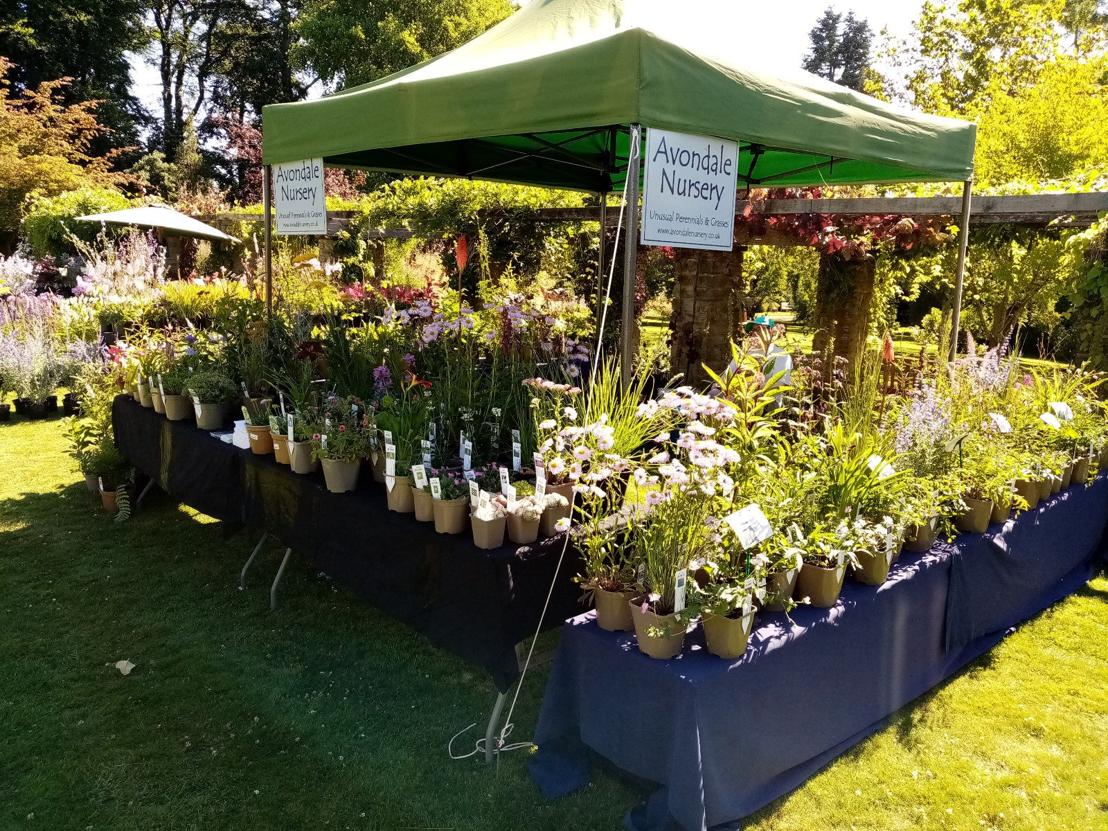 Lets Talk... Plant Fairs!