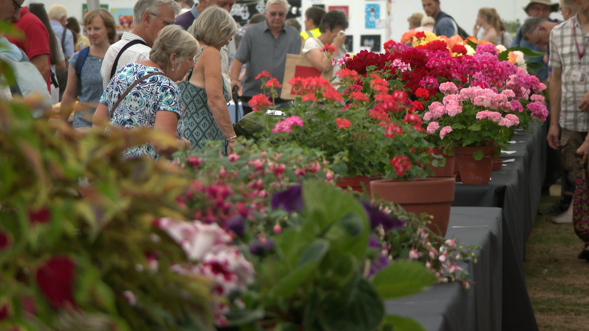 Tom's Yard @ The Taunton Flower Show