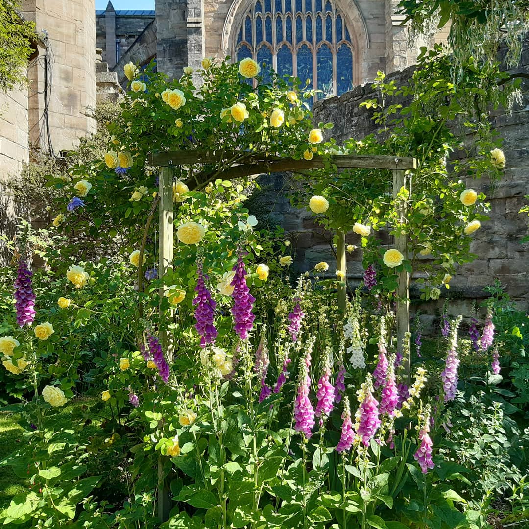 10 Questions With: The Bishop's Palace Gardener