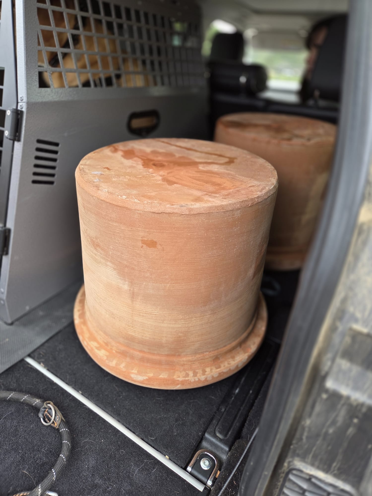 Launch Of ''Cash & Carry'' Programme