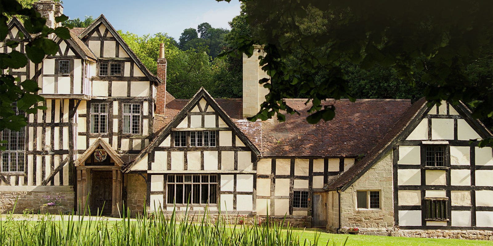 10 Questions With: Angus, Wythall Estate Vineyard