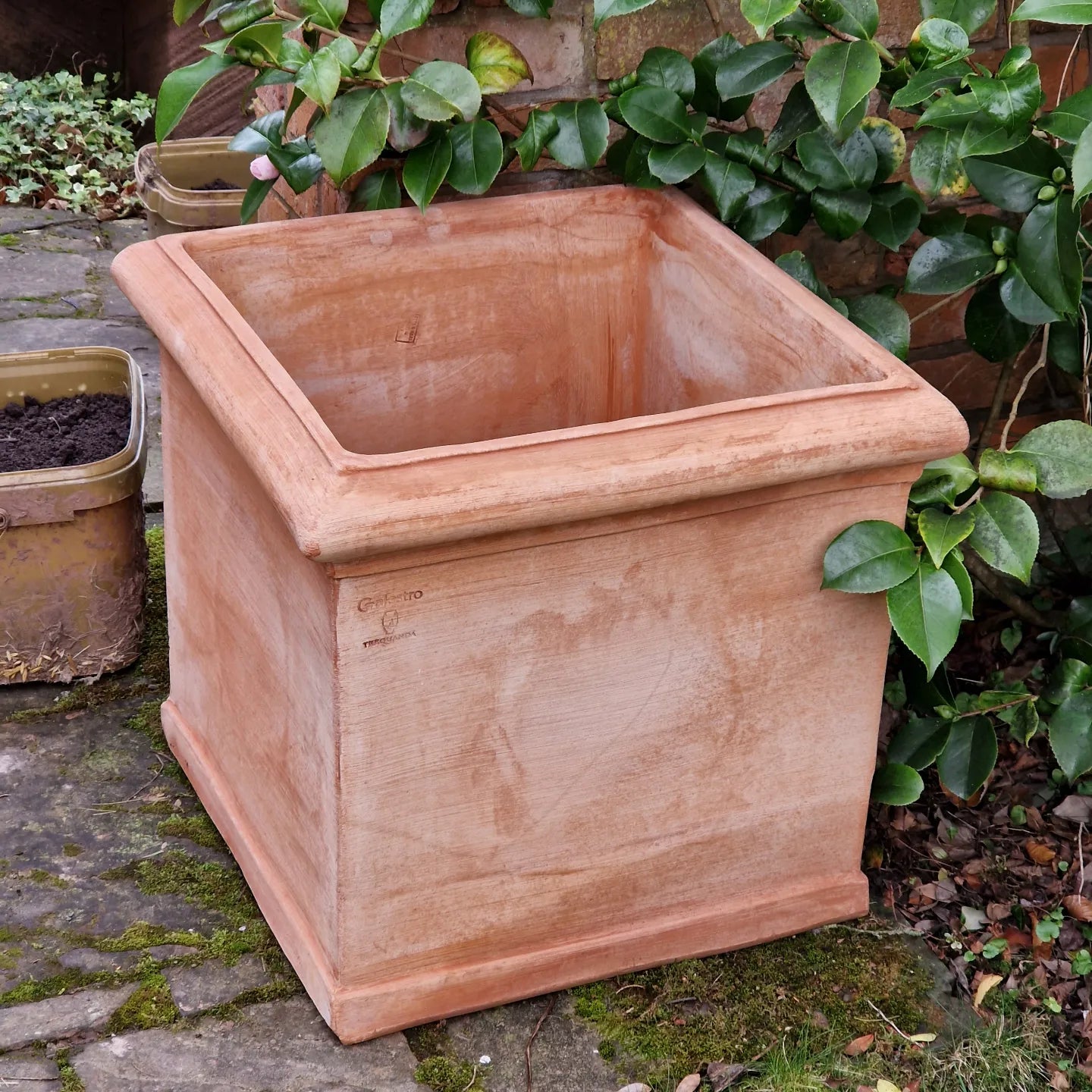 Square Italian Terracotta Planters | Toms Yard | Formal Planting – Tom ...