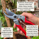 Professional Grade Japanese Secateurs - Tom's Yard