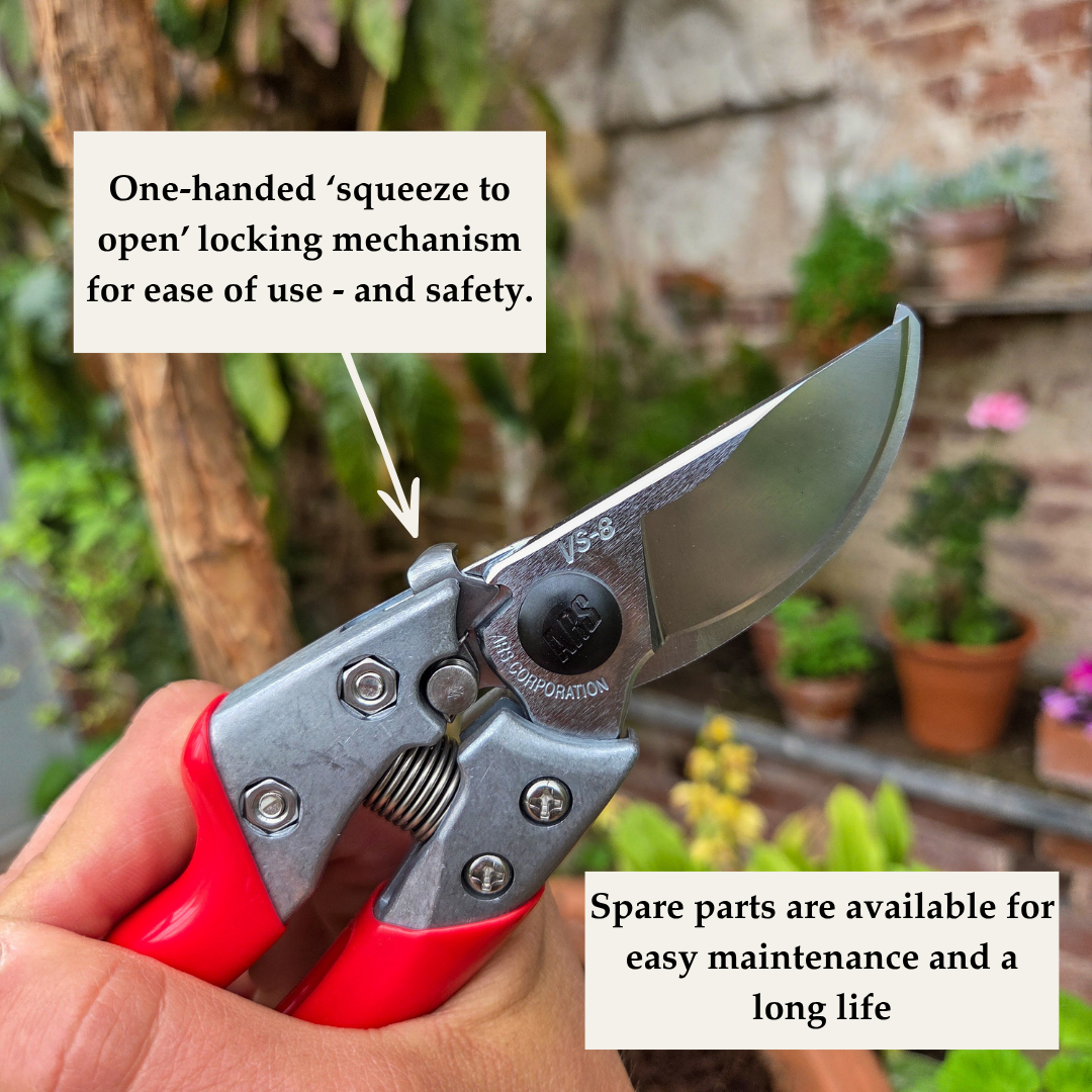 Professional Grade Japanese Secateurs - Tom's Yard
