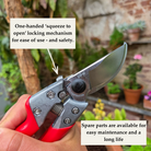 Professional Grade Japanese Secateurs - Tom's Yard