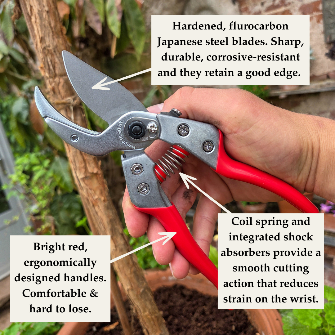 Professional Grade Japanese Anvil Secateurs - Tom's Yard