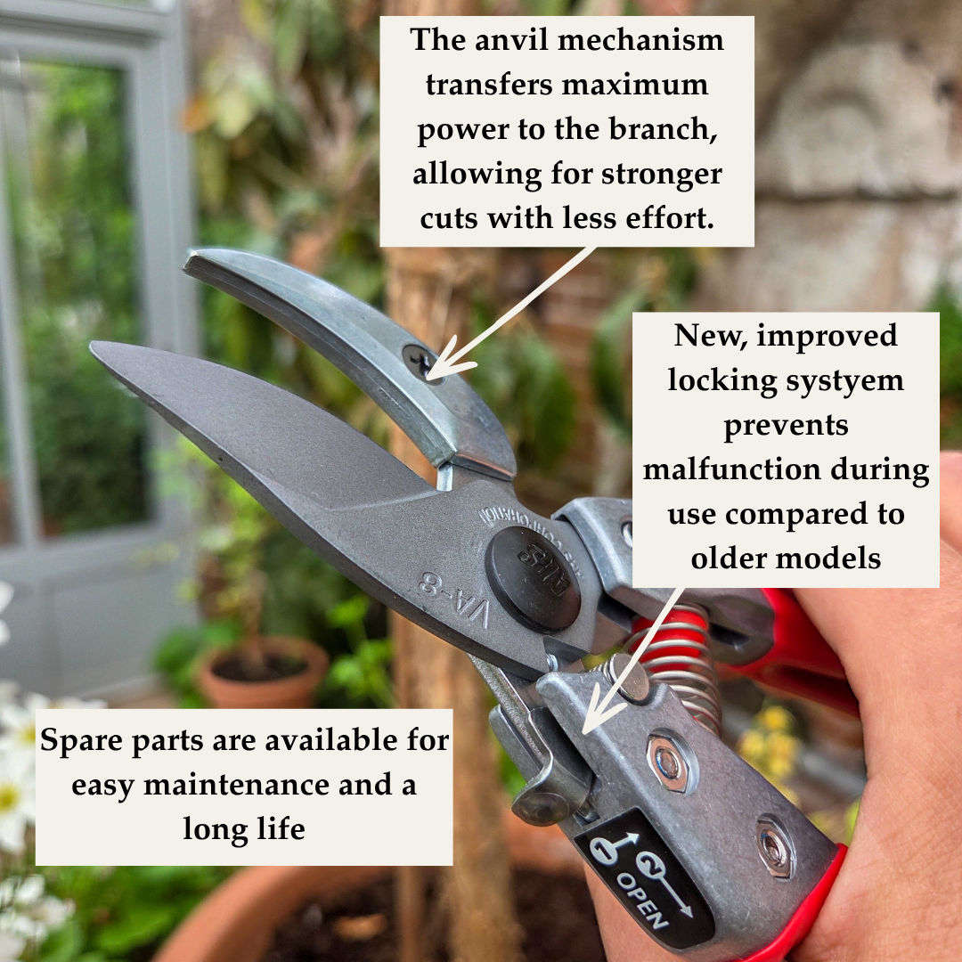 Professional Grade Japanese Anvil Secateurs - Tom's Yard