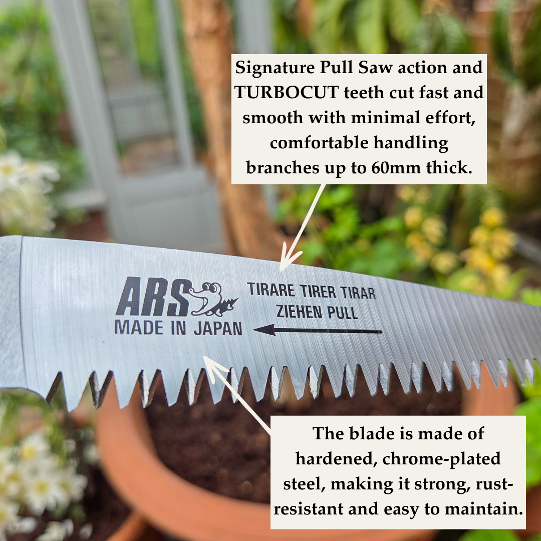 Compact Japanese Folding Pruning Saw - Tom's Yard