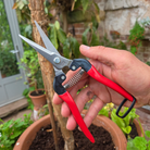 Premium Japanese Garden Snips - Tom's Yard