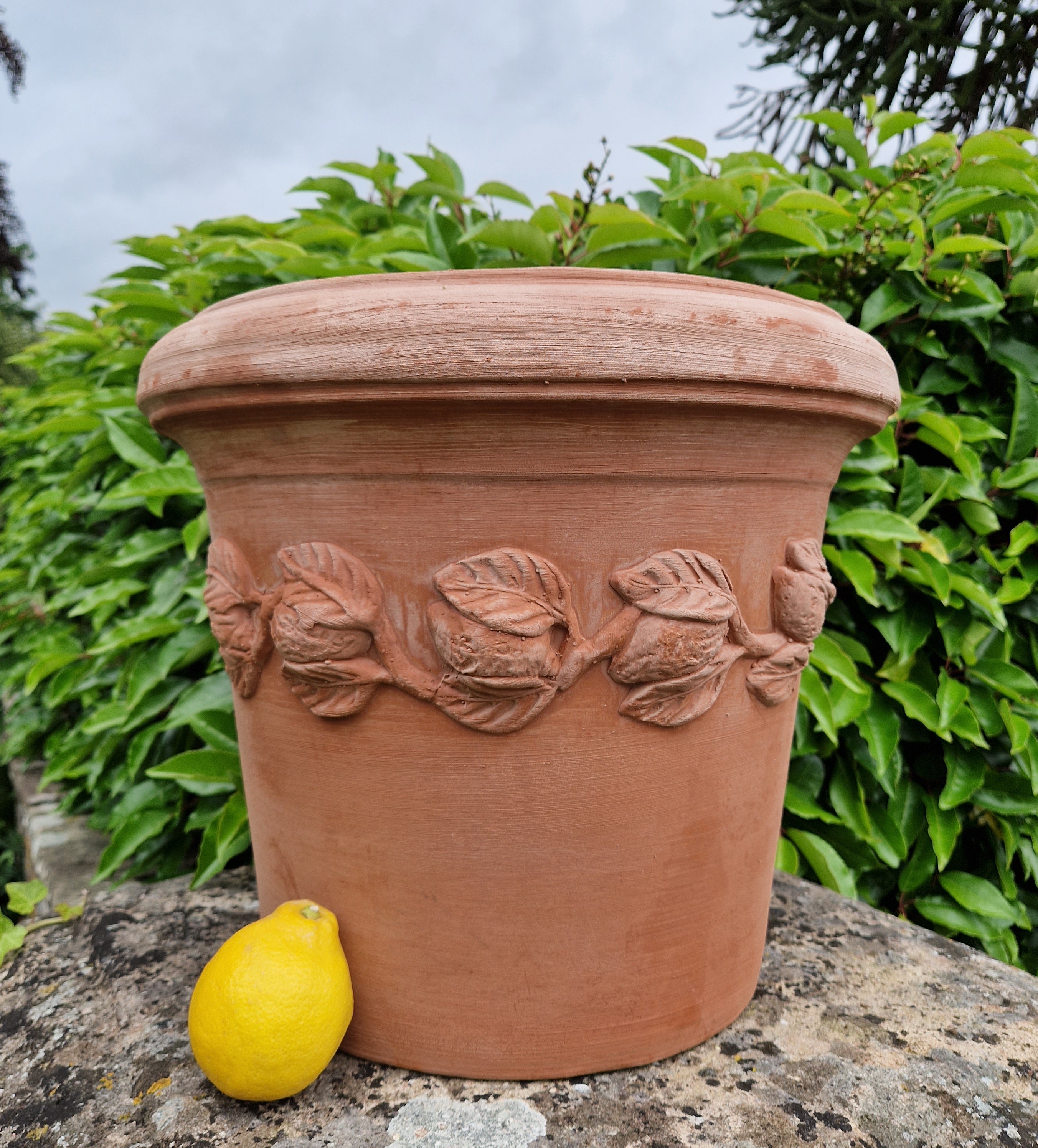 Italian Terracotta Citrus Pots - Tom's Yard
