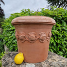 Italian Terracotta Citrus Pots - Tom's Yard