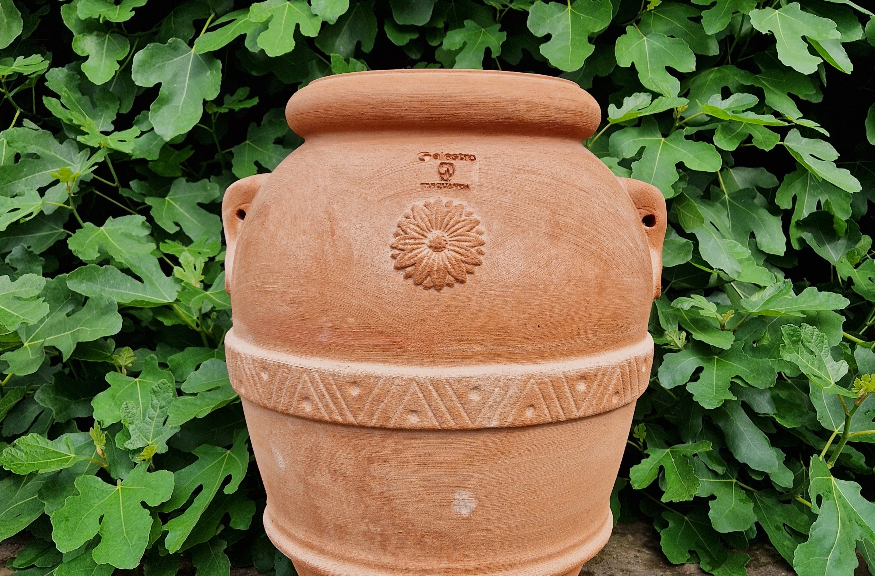 Traditional Italian Terracotta Orcio Jars - Tom's Yard