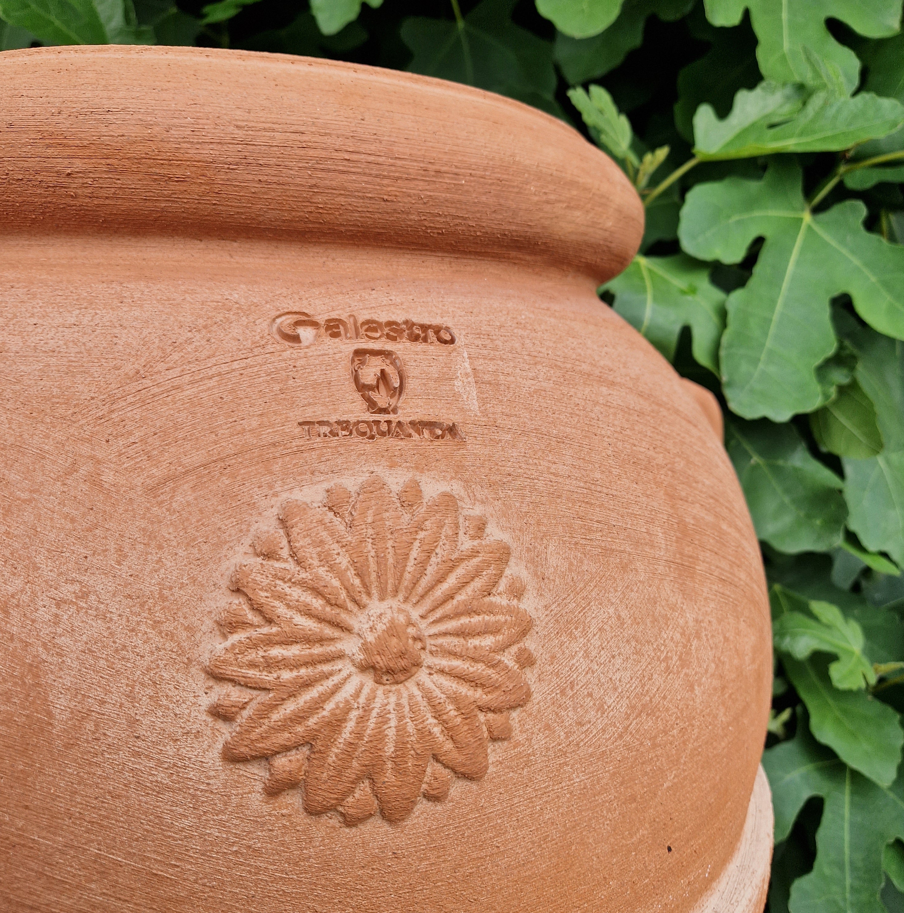 Traditional Italian Terracotta Orcio Jars - Tom's Yard