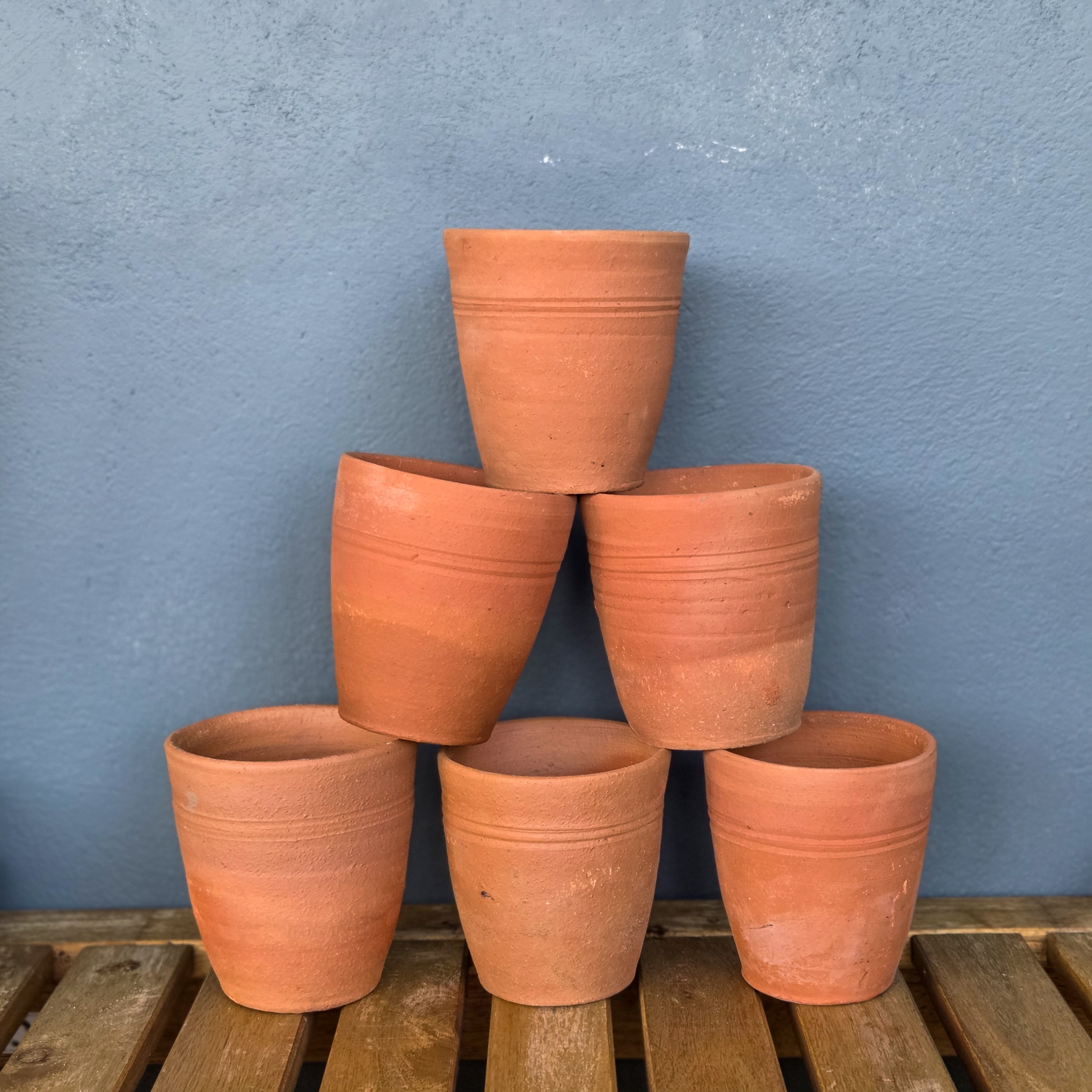 Tom's Yard Terracotta Auricula Pot - Tom's Yard