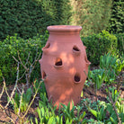 Tom's Yard XL Terracotta Strawberry Pot - Tom's Yard