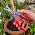 Quality Japanese Garden Snips - Tom's Yard