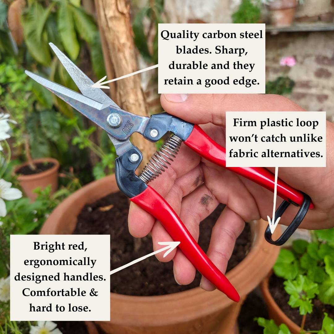 Quality Japanese Garden Snips - Tom's Yard