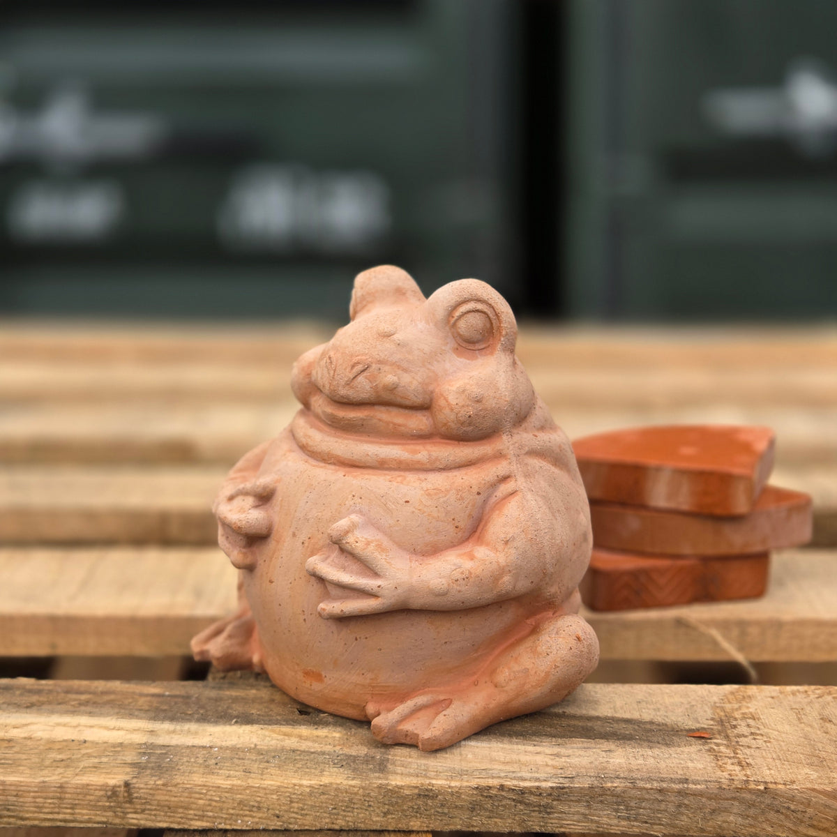 Freddy The Frog - Terracotta Statue - Tom's Yard