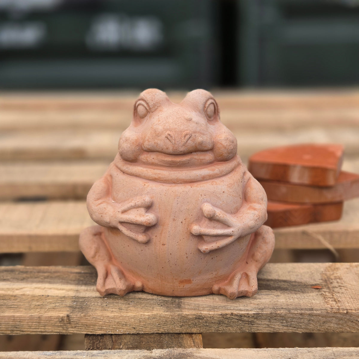 Freddy The Frog - Terracotta Statue - Tom's Yard