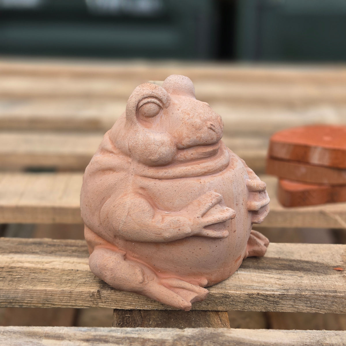Freddy The Frog - Terracotta Statue - Tom's Yard