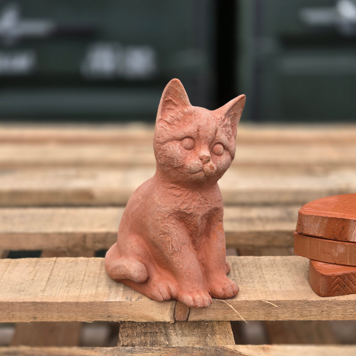 Kathy The Kitten - Terracotta Statue - Tom's Yard
