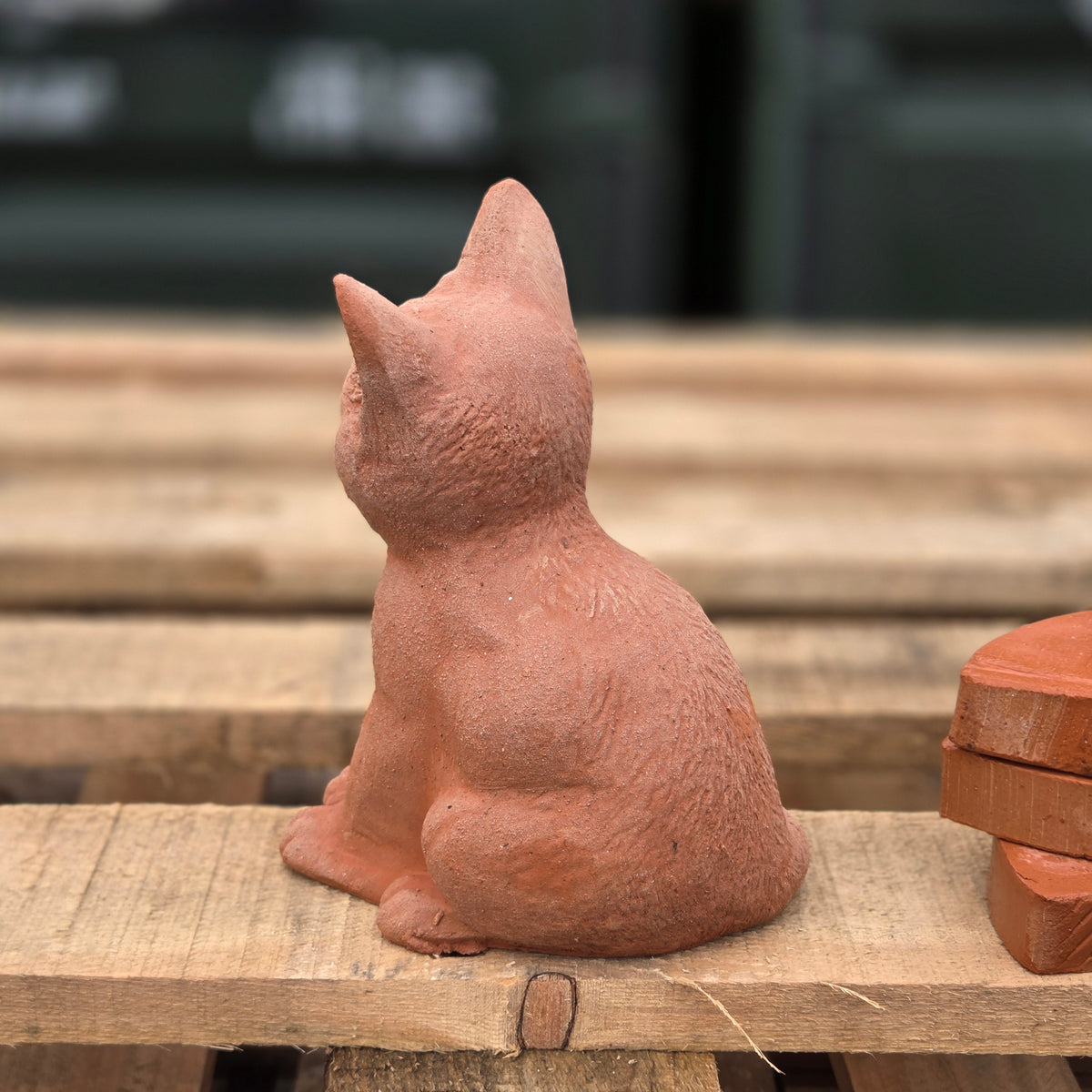Kathy The Kitten - Terracotta Statue - Tom's Yard
