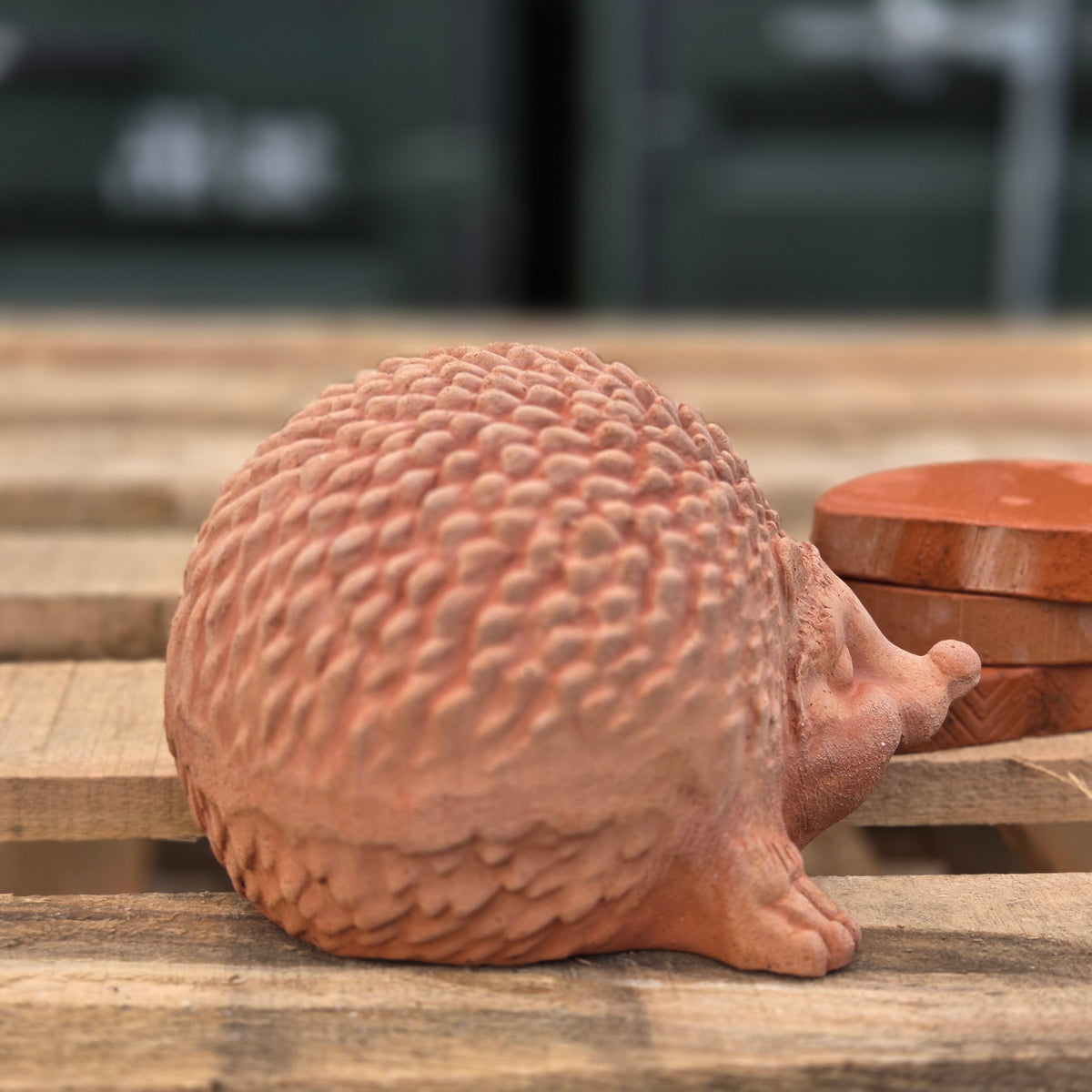 Harry The Hedgehog - Terracotta Statue - Tom's Yard