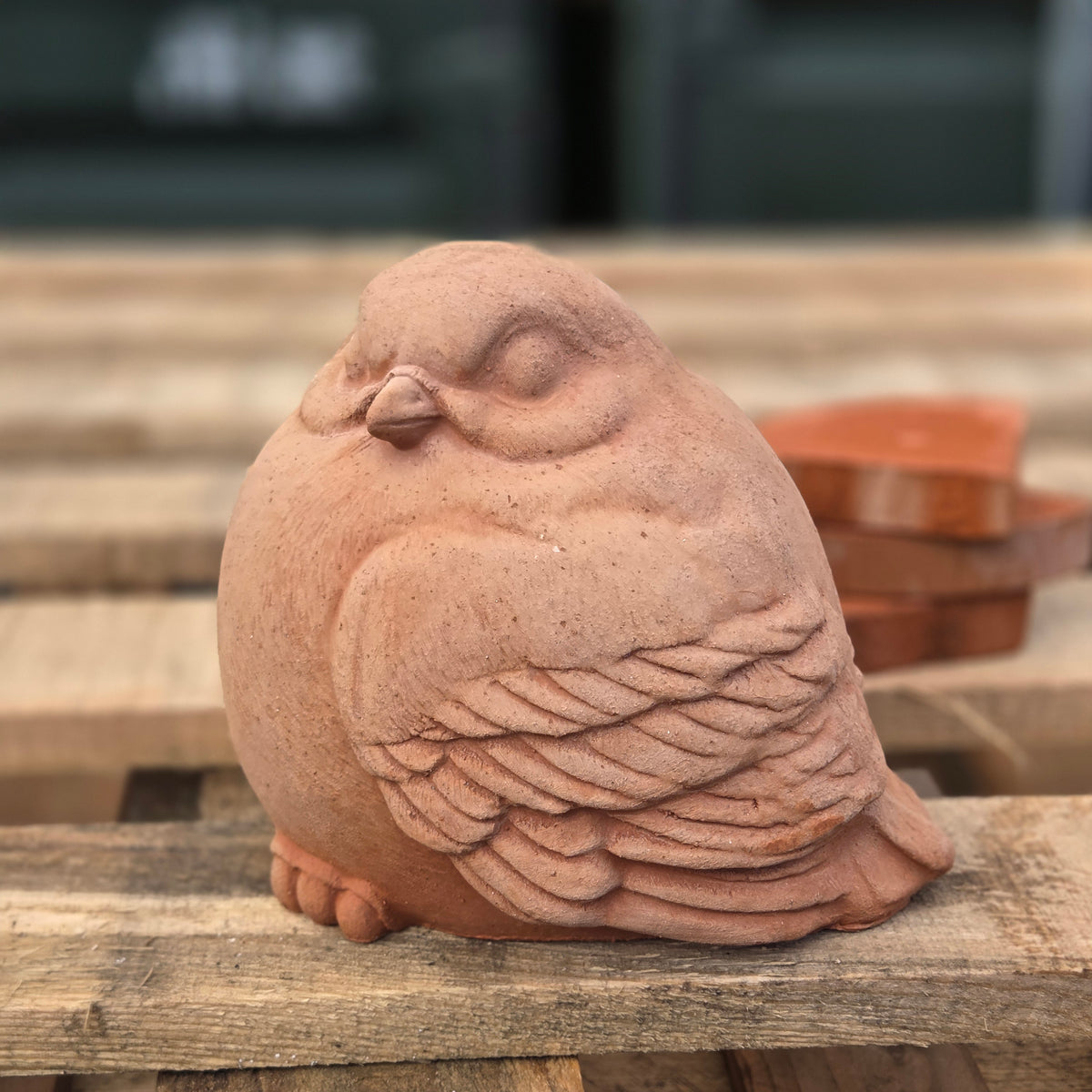 Sammy The Sparrow - Terracotta Statue - Tom's Yard