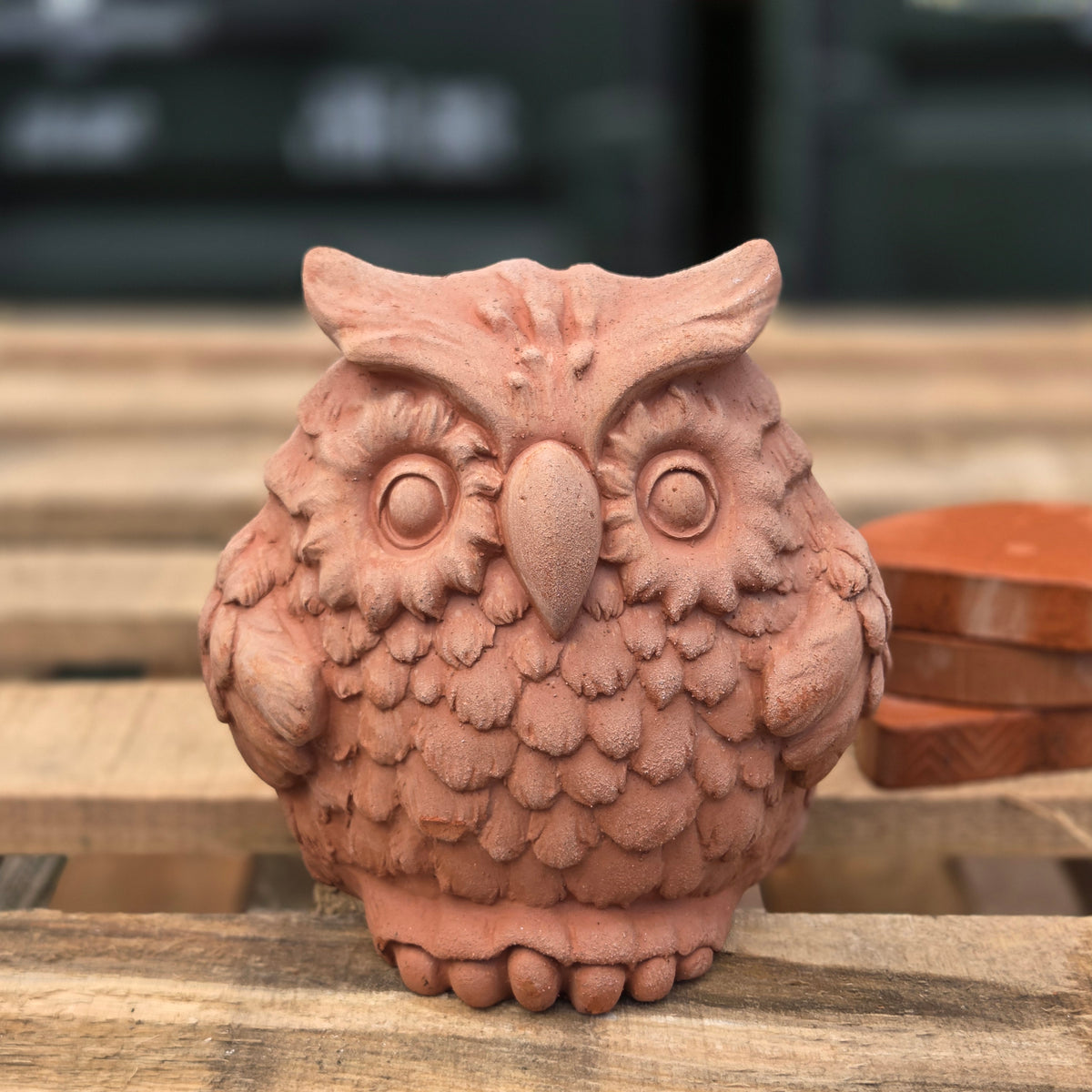 Ollie The Owl - Terracotta Statue - Tom's Yard