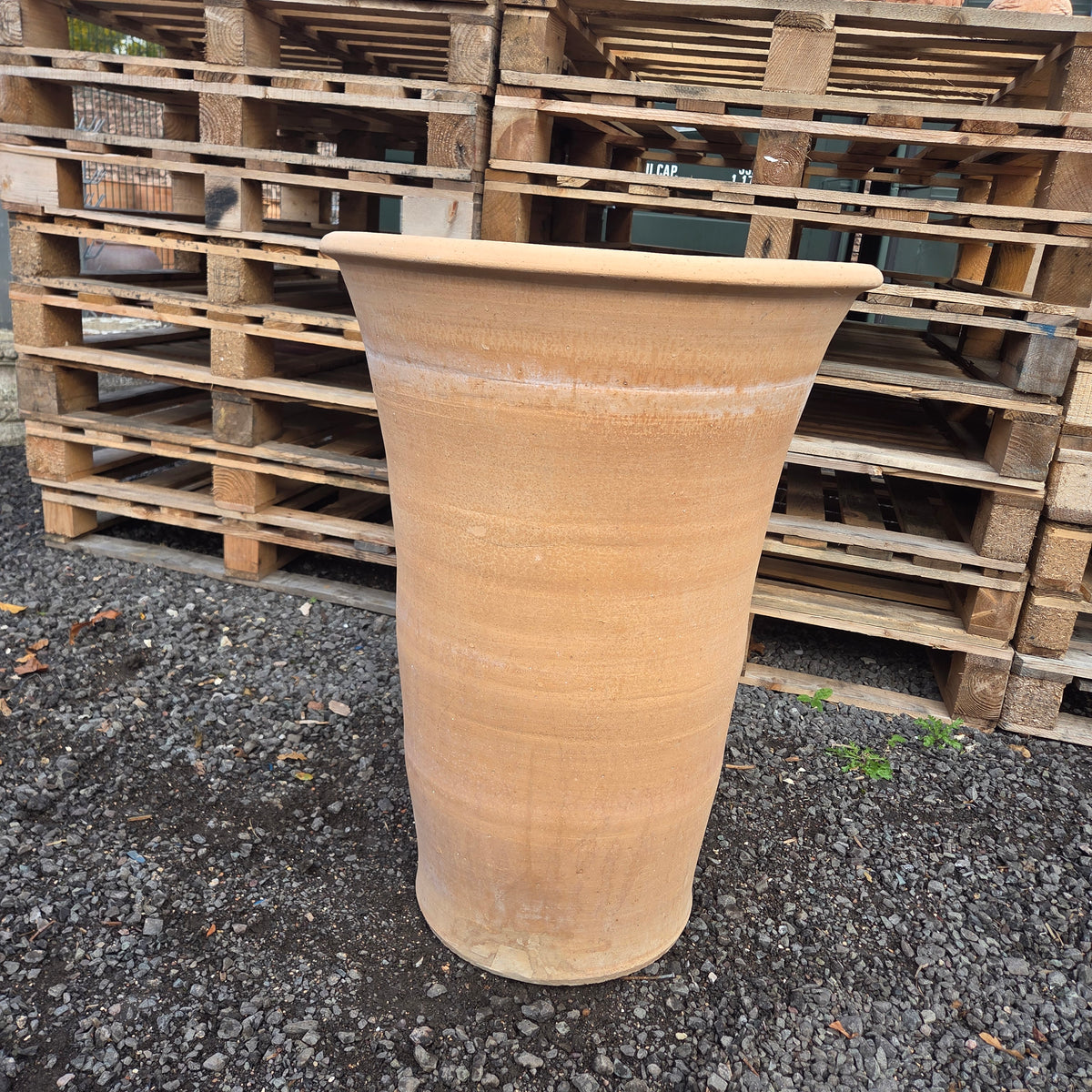 XL SALE Item 68 - Tom's Yard