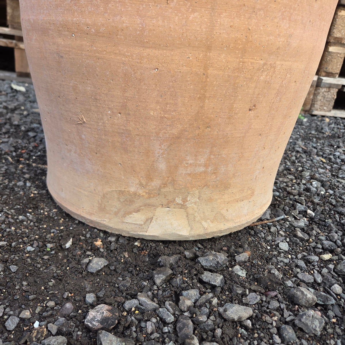 XL SALE Item 68 - Tom's Yard