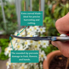Quality Japanese Harvest Snips - Tom's Yard