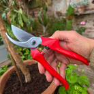 Commercial Spec Japanese Secateurs - Tom's Yard