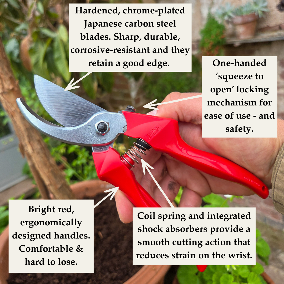 Commercial Spec Japanese Secateurs - Tom's Yard