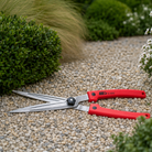 ARS Garden Shears - Tom's Yard