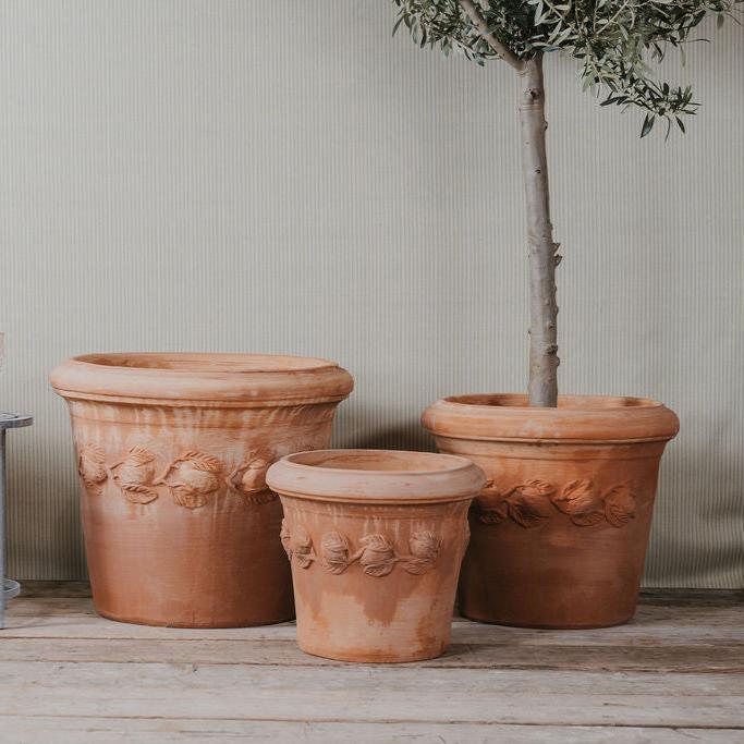 Italian Terracotta Citrus Pots - Tom's Yard