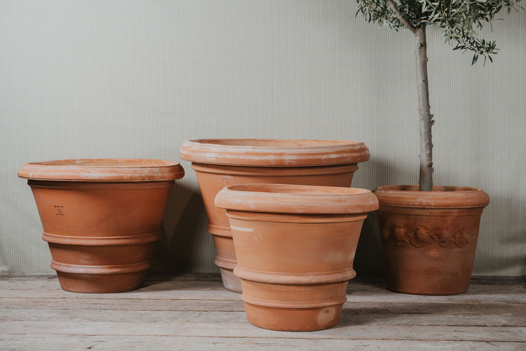 Imprunetino Liscio Italian Terracotta Planters - Tom's Yard