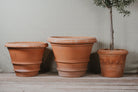 Imprunetino Liscio Italian Terracotta Planters - Tom's Yard