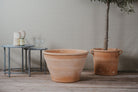 Low Wide Cretan Terracotta Planters - Tom's Yard