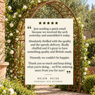 British Made Metal Garden Arch - Brinsop - Tom's Yard