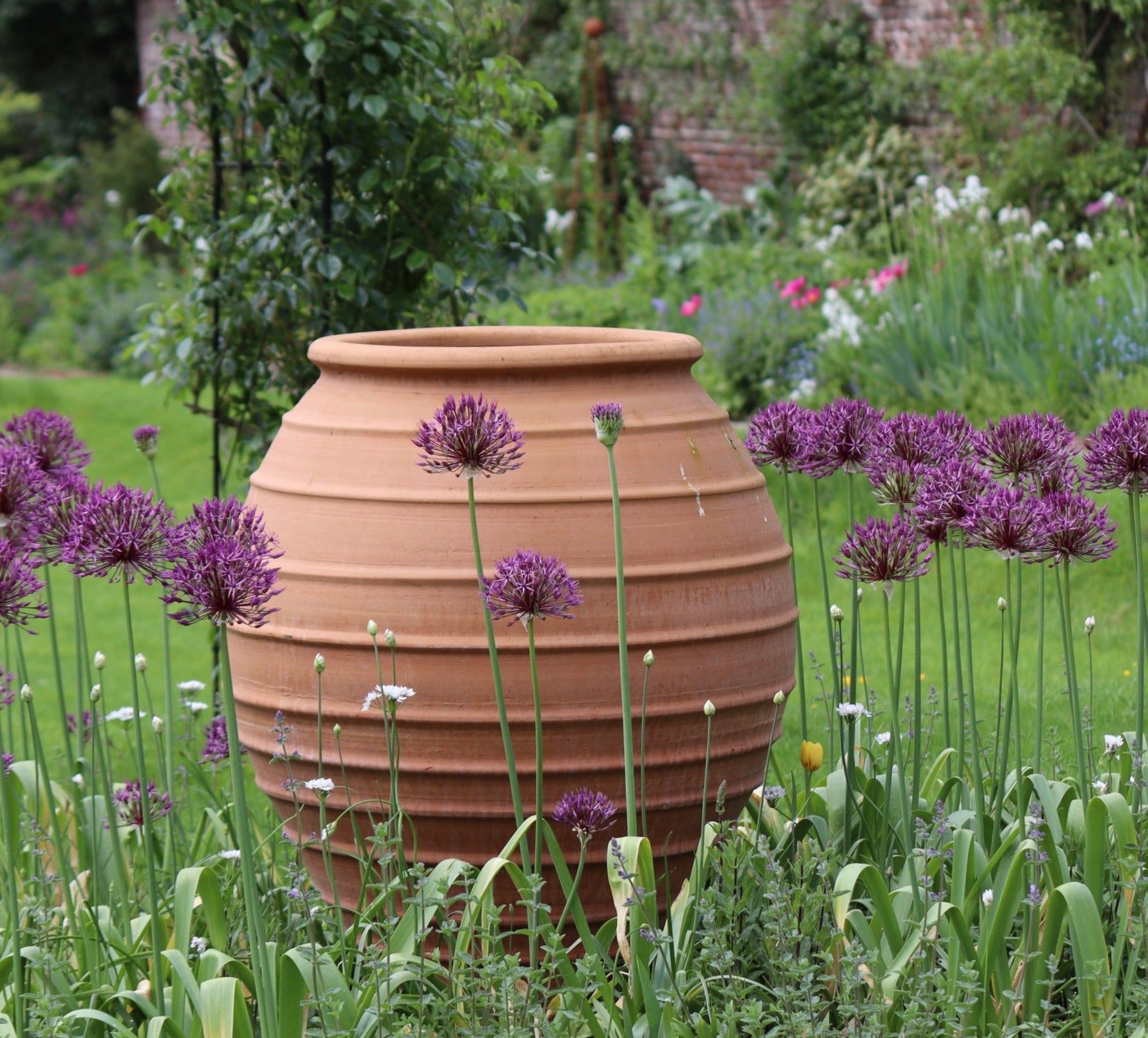 Cratos Cretan Terracotta Pot - Tom's Yard