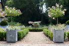Traditional Galvanised Steel Square Planters - Tom's Yard
