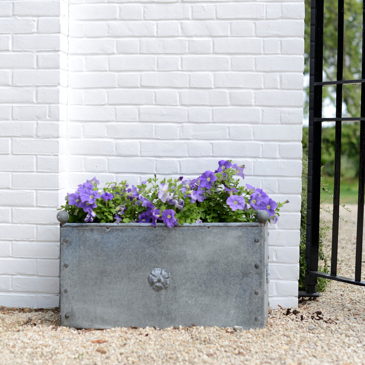 Traditional Galvanised Steel Trough Planter - 80cm – Tom's Yard