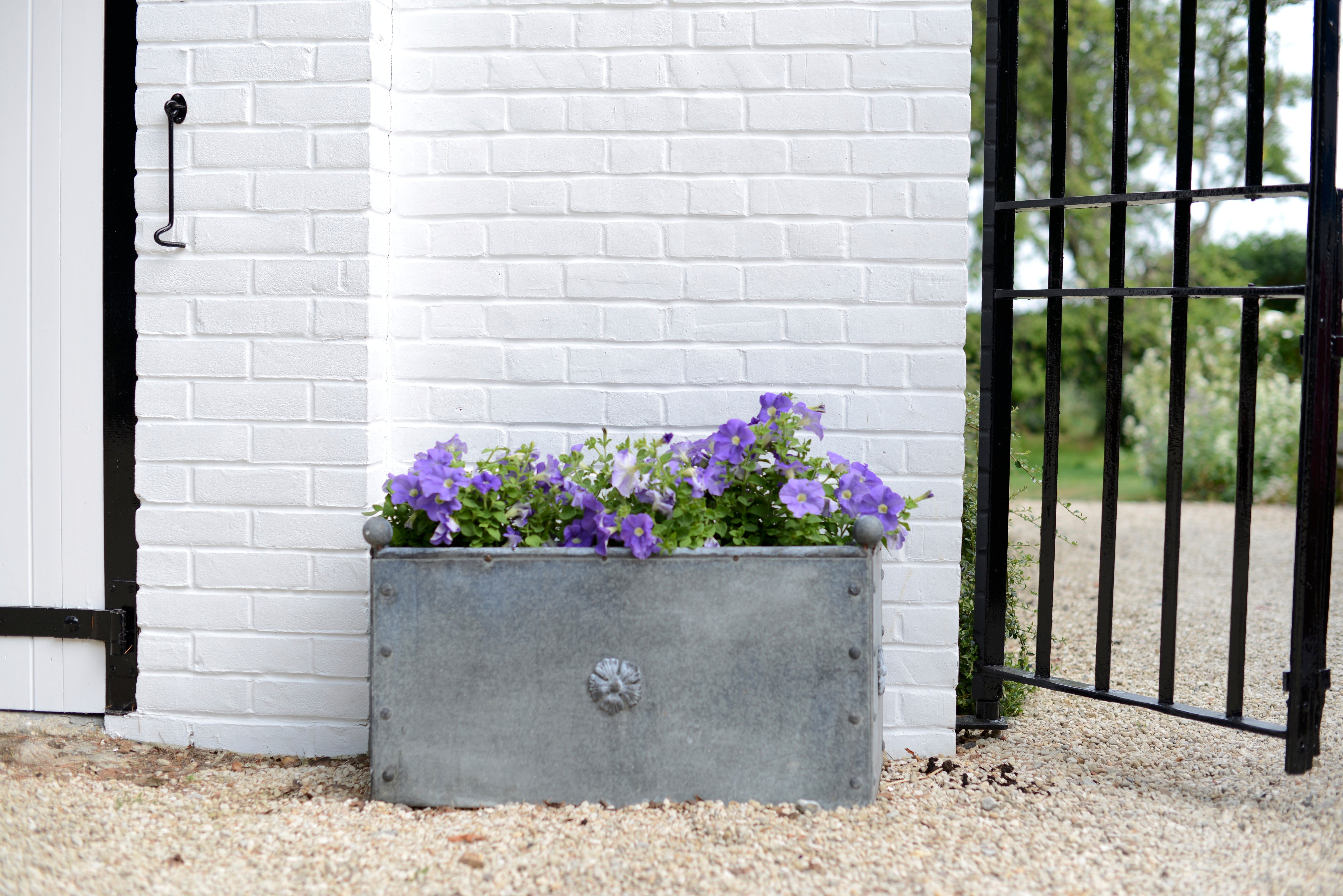 Traditional Galvanised Steel Trough Planter - Tom's Yard