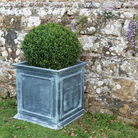 'English' Galvanised Cube Planters - Tom's Yard