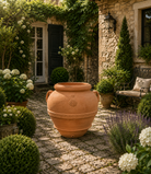Masaccio 'Big Tom' Italian Terracotta Orcio - Tom's Yard