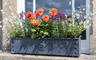 Traditional Galvanised Steel Window Boxes - Tom's Yard