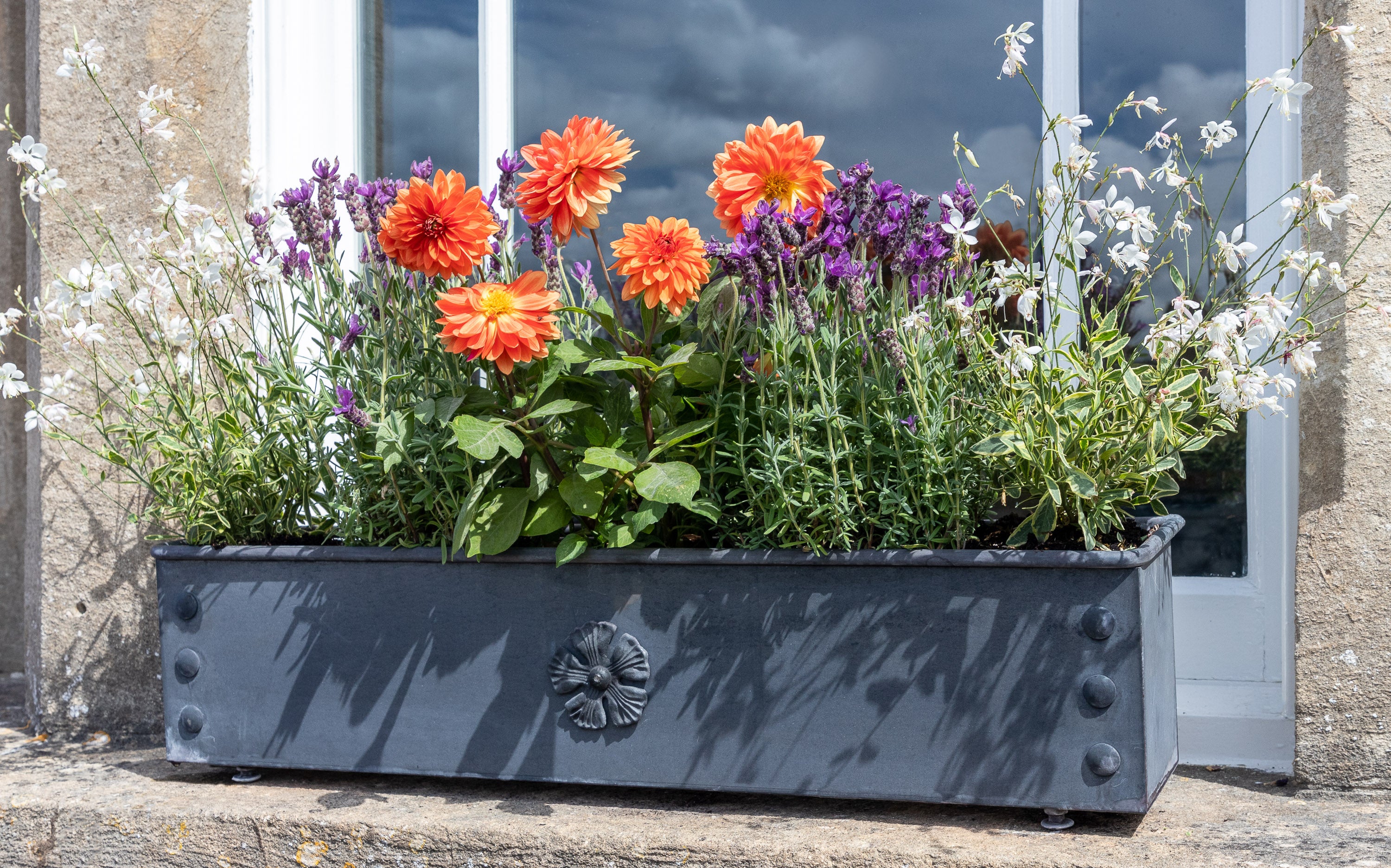 Traditional Galvanised Steel Window Boxes - Tom's Yard