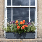 Traditional Galvanised Steel Window Boxes - Tom's Yard