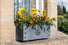 Traditional Galvanised Steel Window Boxes - Tom's Yard